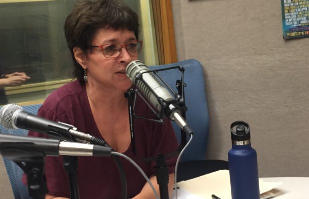 Meet Candidate Mindy Domb