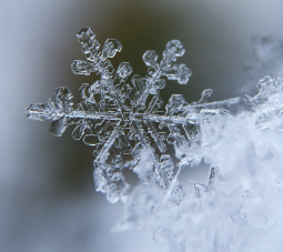 Holiday Choral Festival