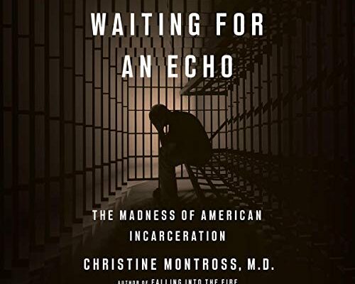 The Madness of American Incarceration
