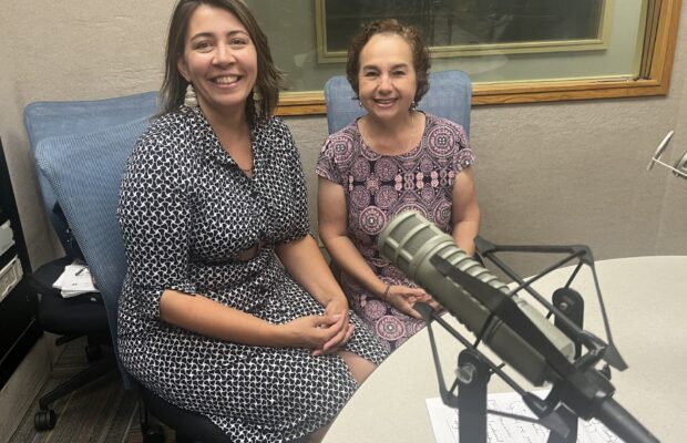 Western Mass Business Show on 8.10.24 — Leslie Gould-Barkman of Ladybug Body Mind Healing