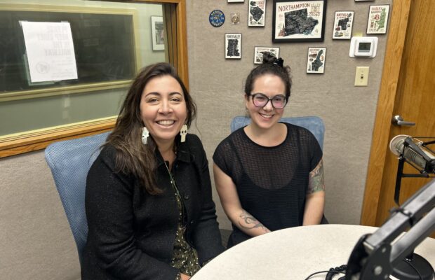 Western Mass Business Show on 11.8.25 — Shoshana Wirth, Allergy Relief Care