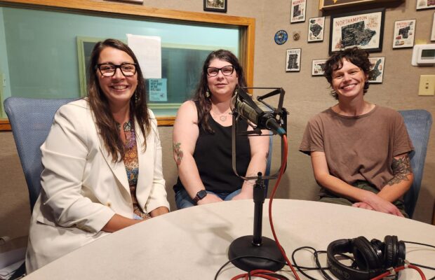 Western Mass Business Show on 8.1.26 – Tides for Reproductive Freedom